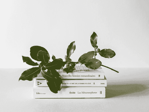 ddos压力在线测试平台